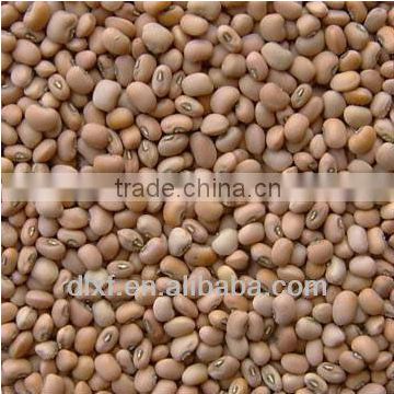 pink cowpea