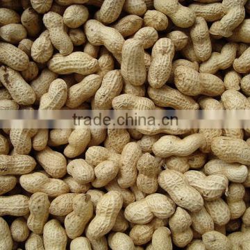 Chinese Peanuts