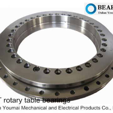 YRT100 precision rotary table bearings