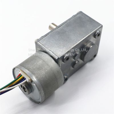High torque 24V 53 rpm 40mm worm geabox motor reduction motor with good price KG-4058Z3630 9.0kg at load from kegu motor