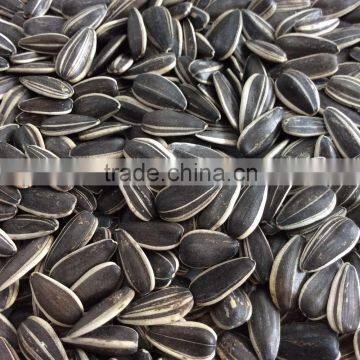 Wholesale sunflower seeds