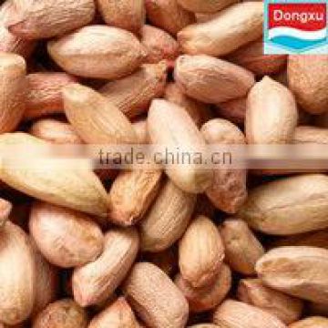 peanut from china luhua 24/28