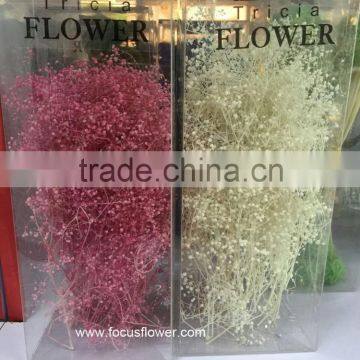 Home Decoration Flowers Flower Export Preserved Flower Wedding Gypsophila Artificial