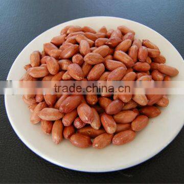 ROASTED PEANUTS with red skin