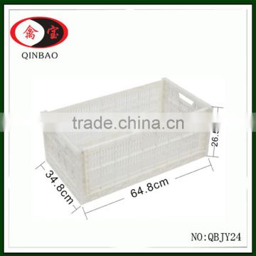 Guangzhou High Quality White Plastic Chicken Egg Trays Pack of 240ve Create