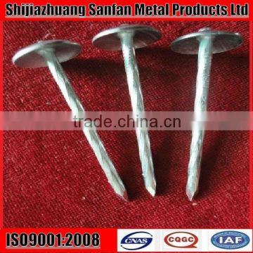 ring shank zinc galvanized roofing nails