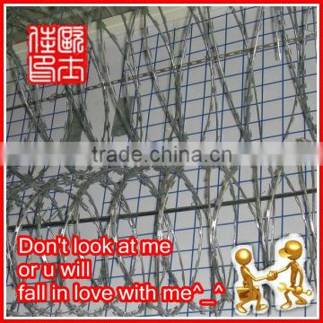 Galvanized Crossed Barbed Wire(Crossed Rarbed Wire and Single coil barbed Wire)