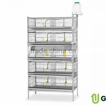 Show cage 1 floor. Extension cage