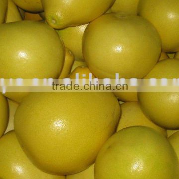 Chinese fresh pinghe pomelo