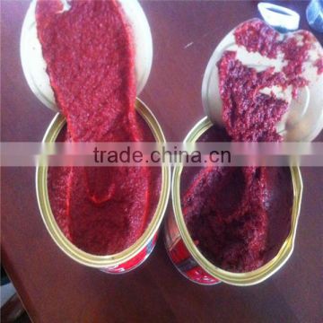 Tin Package Tomato Paste from Chinese factory