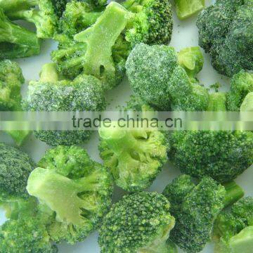 top quality /healthy food frozen broccoli with best price