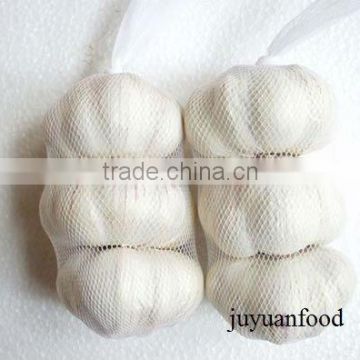 Juyuan White Garlic