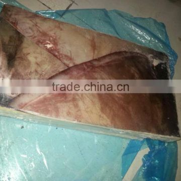 Good Quality PERU/CHILE Giant Squid Wing
