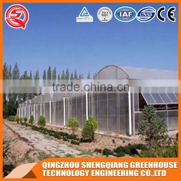China Plastic greenhouse for plant tomato and flowers