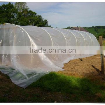 Plastic wind resistant greenhouse used film with uv for wholesale