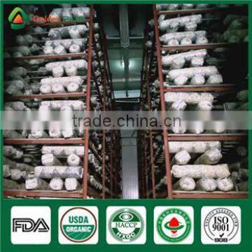 China Professional Supplier Factory Price for Shiitake Mushroom Spawn Growing Kit