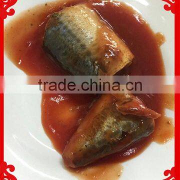 Canned Mackerel in Fish in Tomato Sauce