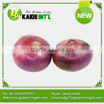 Trade Assurance Supplier Fresh Hot Sale Onion