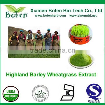 Natural Highland barley Wheatgrass juice extract/barley Wheatgrass extract/ wheatgrass powder/