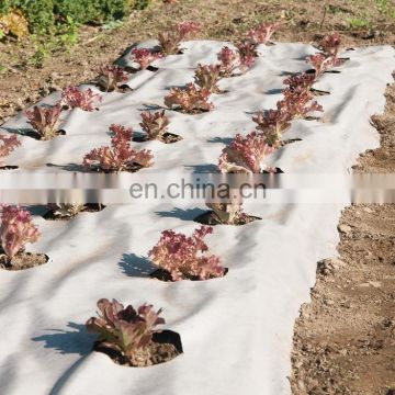 woven fabric supplier, weed control net, weed barrier pro landscape fabric