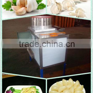 stainless steel garlic pounding machine prices