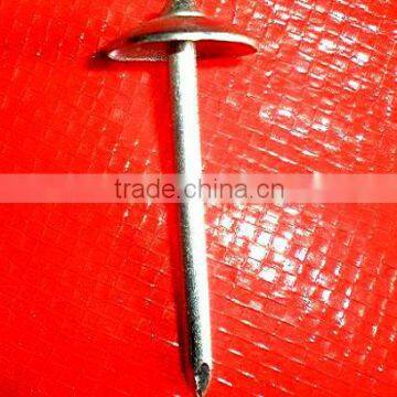 13/4"x13bwg galvanized roofing nails