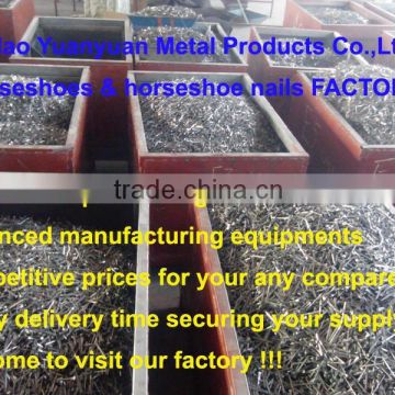 factory dierct sales wholesale in bulk horseshoe nails