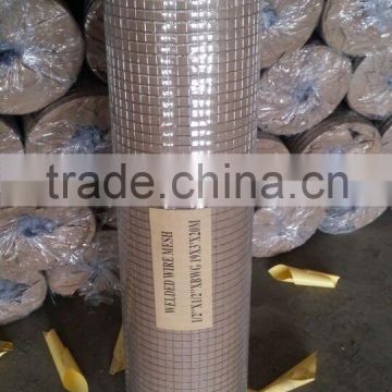 1/2'' *1/2''galvanized square hole welded wire mesh china supplier