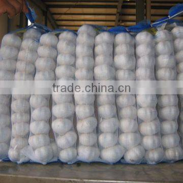 Chinese Fresh Garlic 2016 Crop