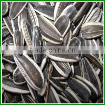 Sale Best Quality and Cheap Raw Sunflower Seeds 5009 in Bulk