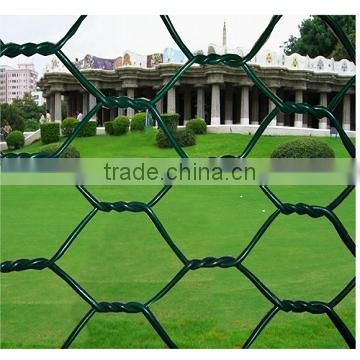 Galvanized and PVC coated chicken net