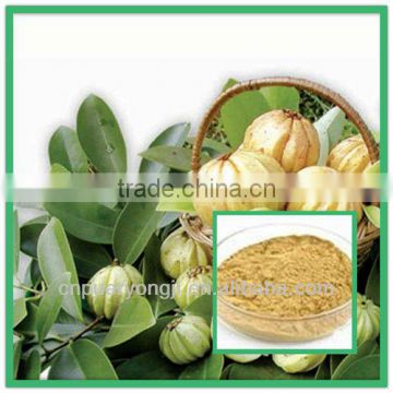 Hot Selling Natural Made Garcinia Cambogia Extract From China