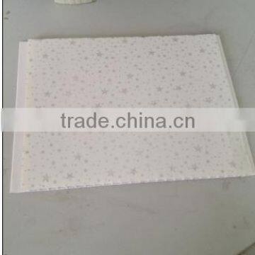 25cm width hot stamping hot sale style pvc panel