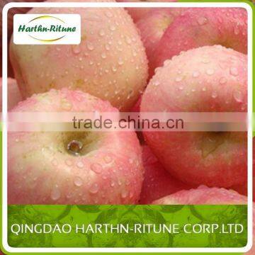 Golden Supplier Red Delicious US Apples - Now Packing