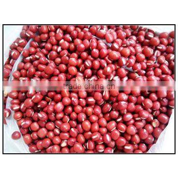 JSX red adzuki beans hot selling red speckled beans