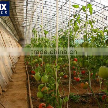 China best quality plastic greenhouse tent