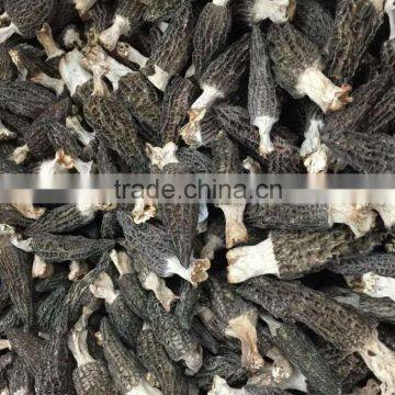 Dried Morel Morchella Mushroom from yunnan