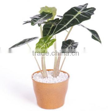 Bamboo Fiber flower pot