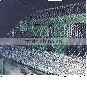 hexagonal wire net