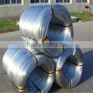 BWG18 electro galvanized wire factory with best price
