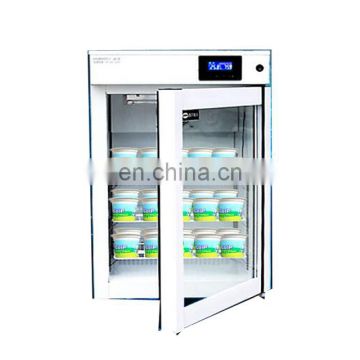 Chinese Mini Yogurt Commercial Soft Ice Cream Machine