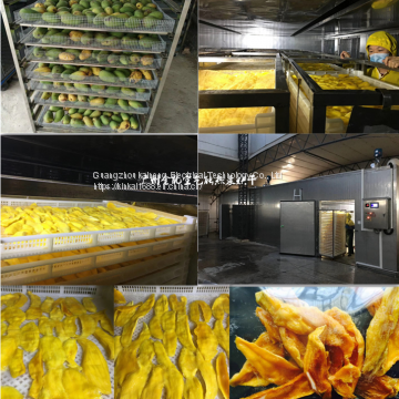 Mango drying equipment, drying equipment and machinery