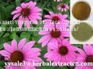 Echinacea Extract, Echinacea Purpurea Polyphenols HPLC USP40, Chicoric Acid, Echinacosides