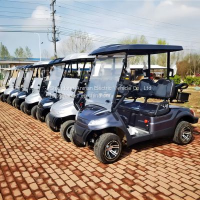 2 seater electric golf cart for sale