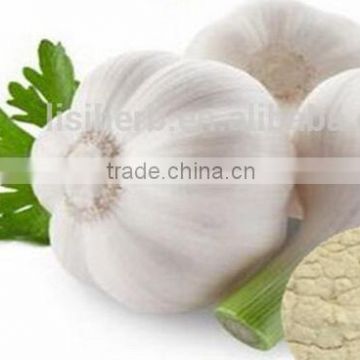 AD Drying Process and 100% Pure Dried Style garlic powder