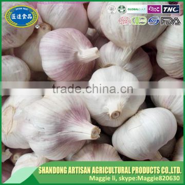 Jinxiang wholesale garlic price