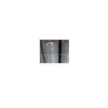 Welded Wire Mesh