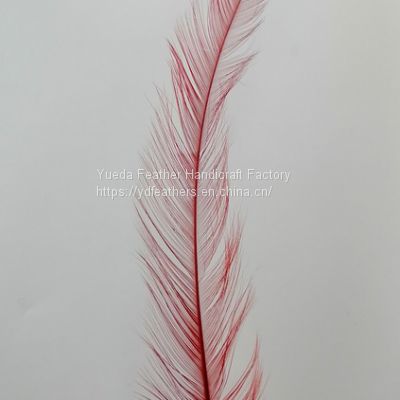 Burnt Rooster/Coque/Cock Tail Feather Dyed Red from China