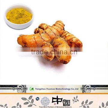 Best price natural curcumin in herbal extract