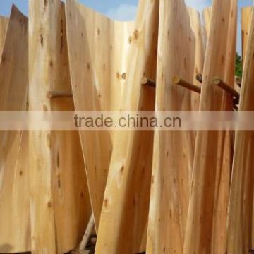 1.7 mm Eucalyptus core veneer